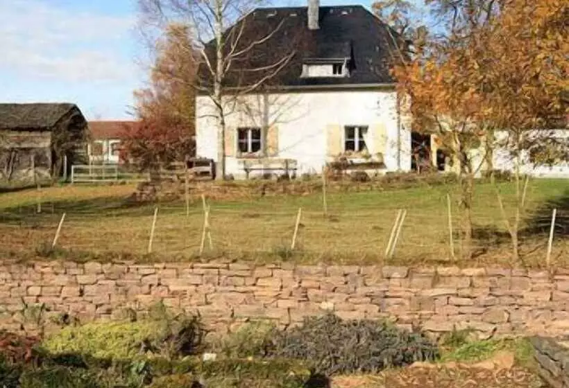 ホテル Hofgut Imsbach Lapointe