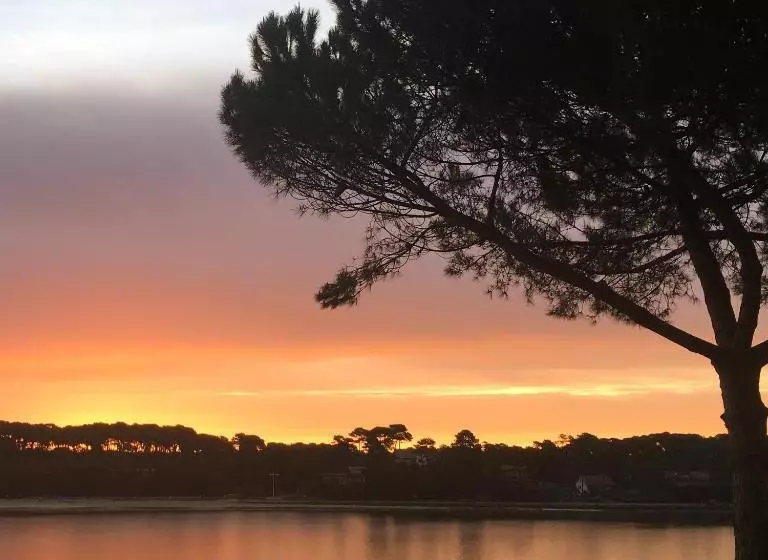 ホテル Hôtel Les Hortensias Du Lac