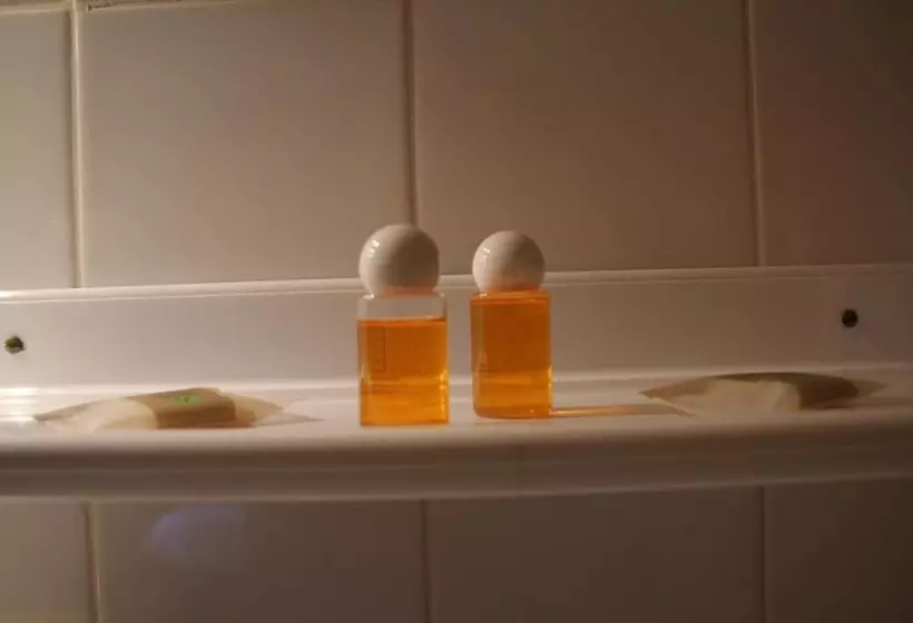 ホテル Le Manoir Du Rodoir