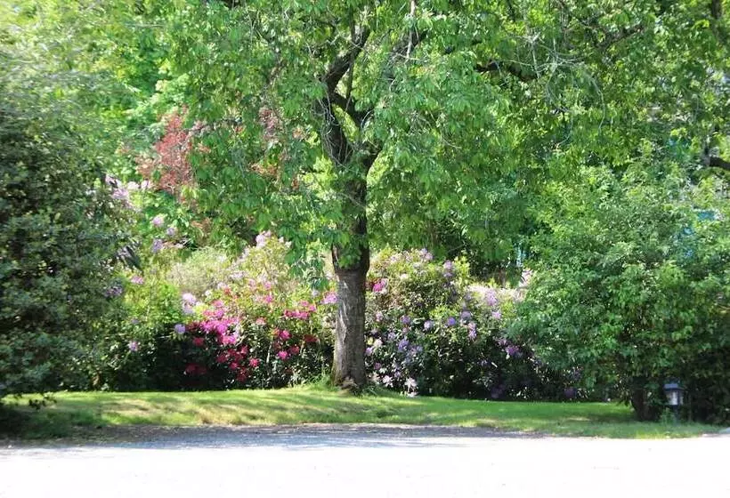 ホテル Le Manoir Du Rodoir