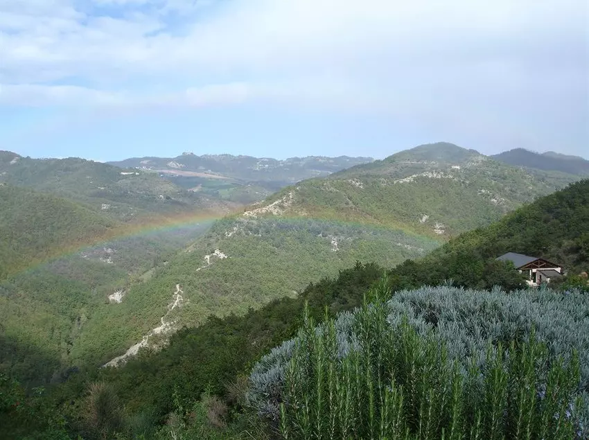 ホテル Locanda Del Gallo