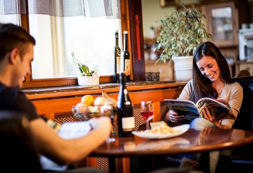 בית מלון כפרי Vineyard Inn   Szőlőskert