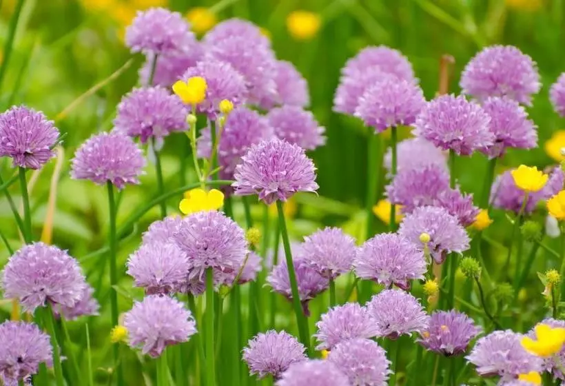 Hotelli Zum Goldenen Fässchen