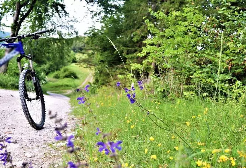ペンション Zum Bräu