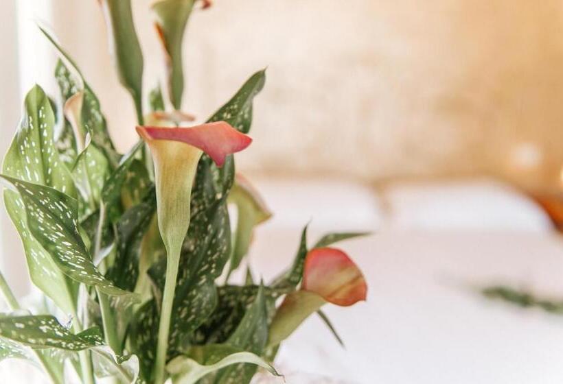 בית מלון כפרי Aganoor