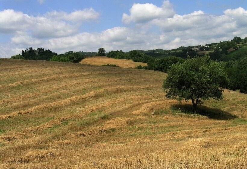 Отель Azienda Agraria Montelujano