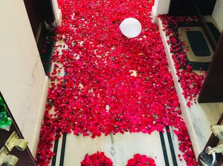 Hôtel Krishna Palace   A Heritage