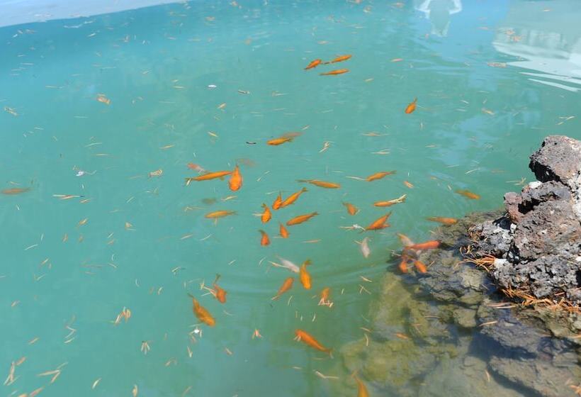 בית מלון כפרי Albergo Nappini