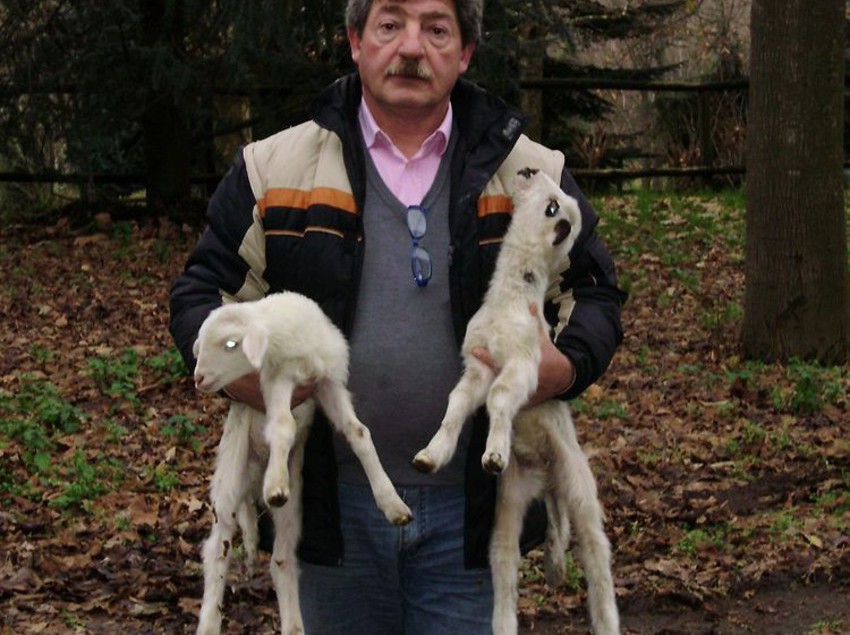 Отель Tenuta Montelaura