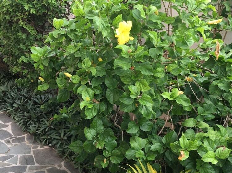 Beachcross Villa Apartments