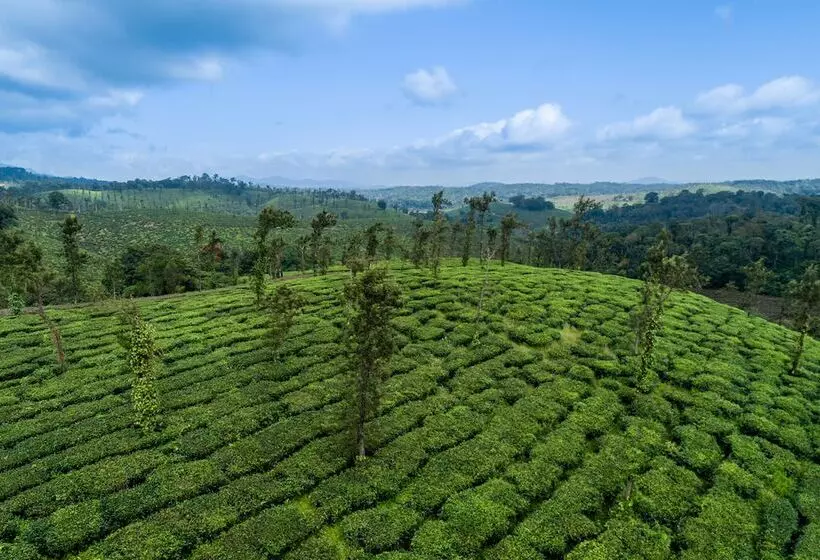 Отель Amritara Ambatty Greens Resort