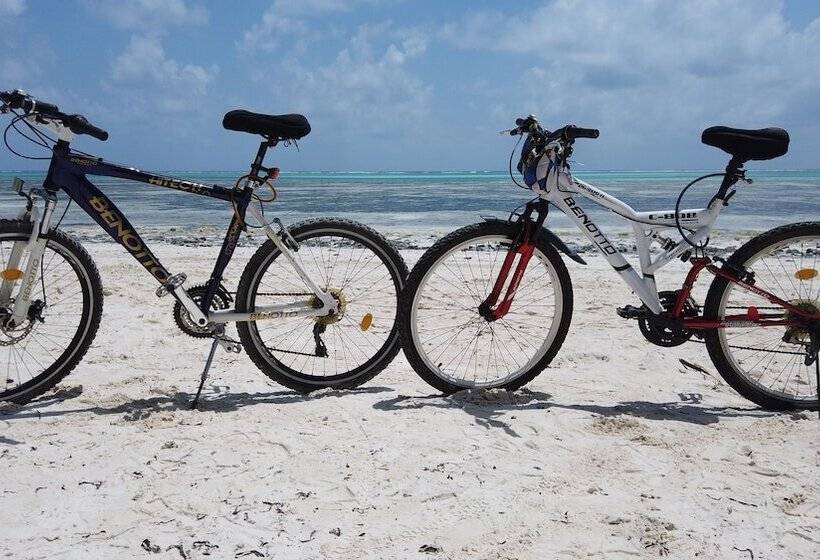 Boutique Hotel Matlai