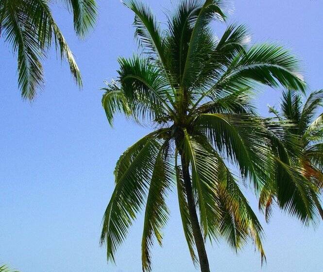 Boutique Hotel Matlai