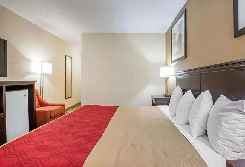 Отель Econo Lodge