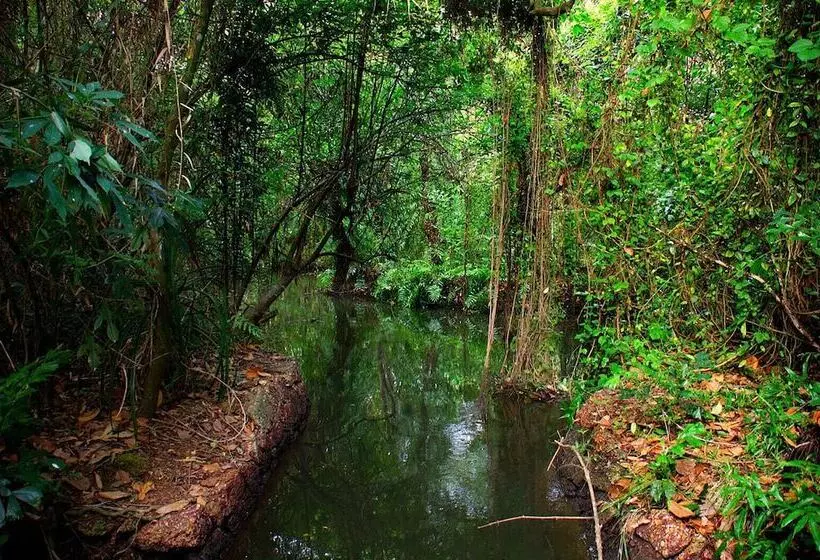 酒店 Saro Lake County