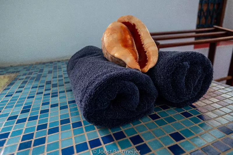 هتل Zanzibar Palace