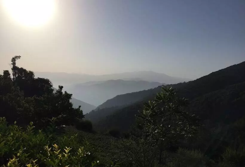 The Ayali Fernhill Resort, Chail