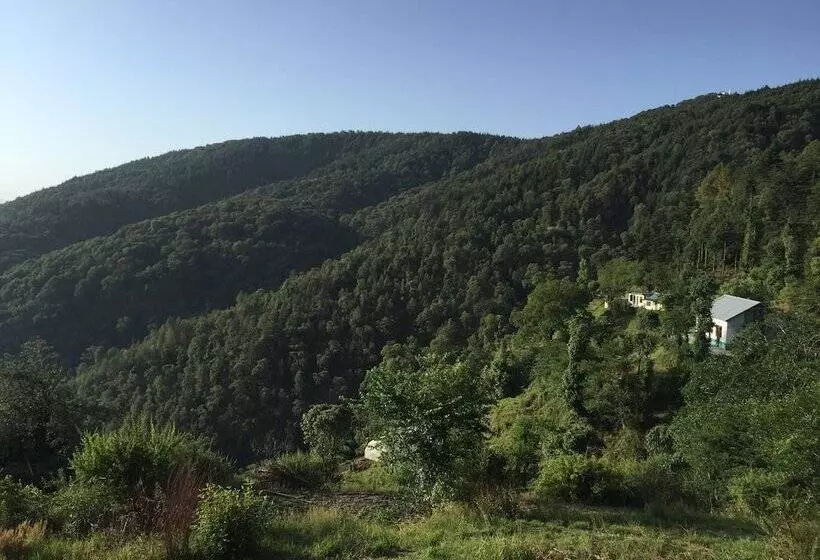 The Ayali Fernhill Resort, Chail