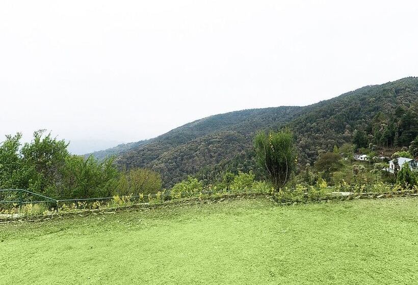 The Ayali Fernhill Resort, Chail