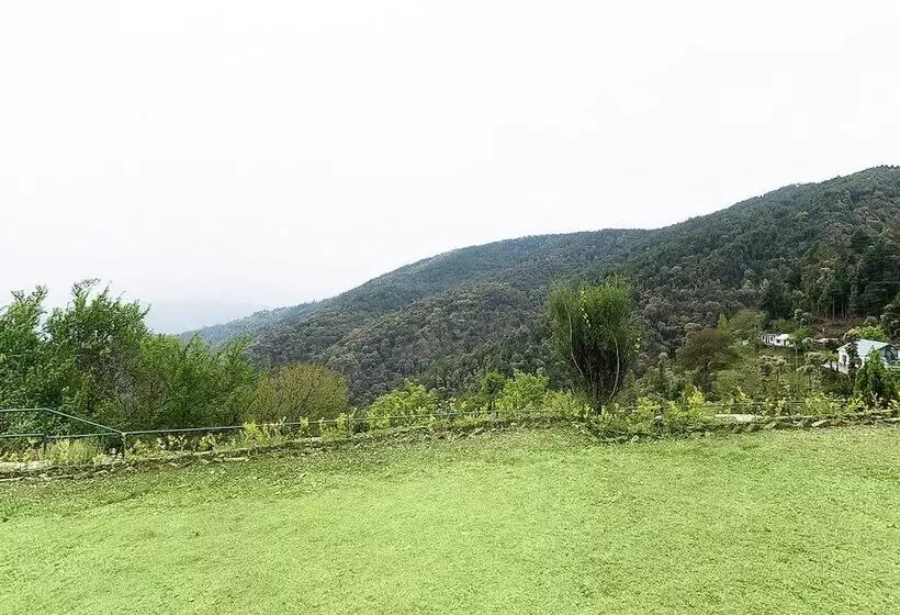 The Ayali Fernhill Resort, Chail