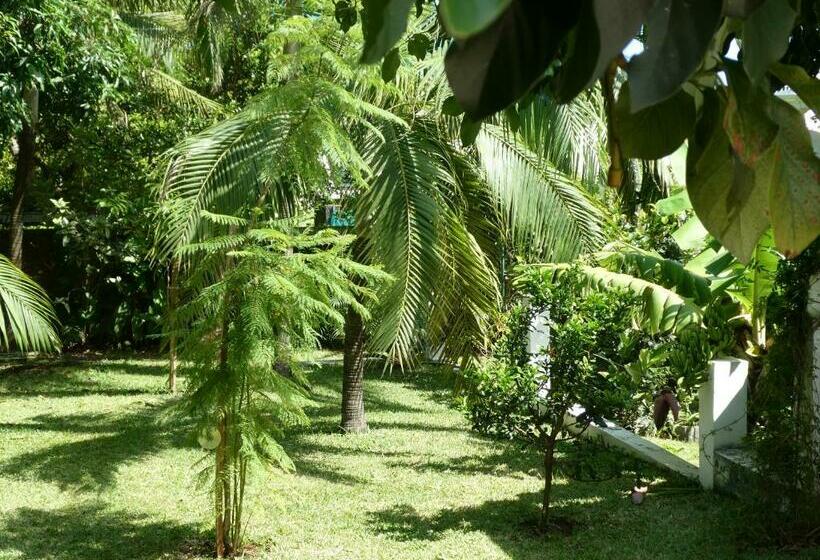 تختخواب و صبحانه Kaze Silas