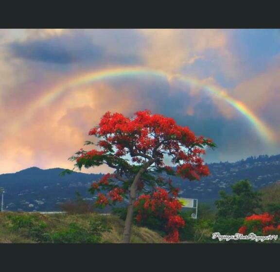 تختخواب و صبحانه Kaze Silas