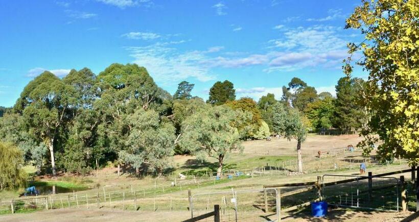 פנסיון The Stables