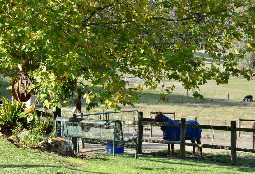 פנסיון The Stables