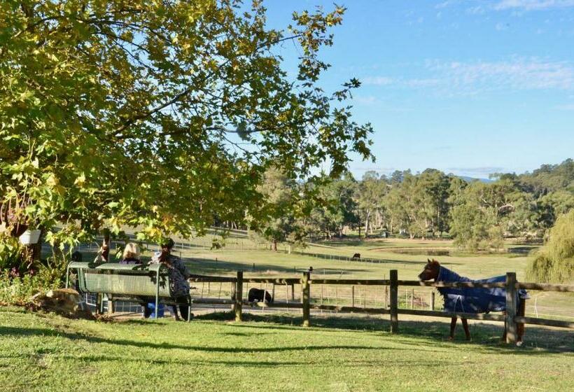 פנסיון The Stables