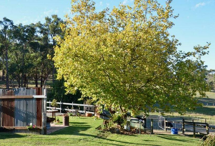 פנסיון The Stables