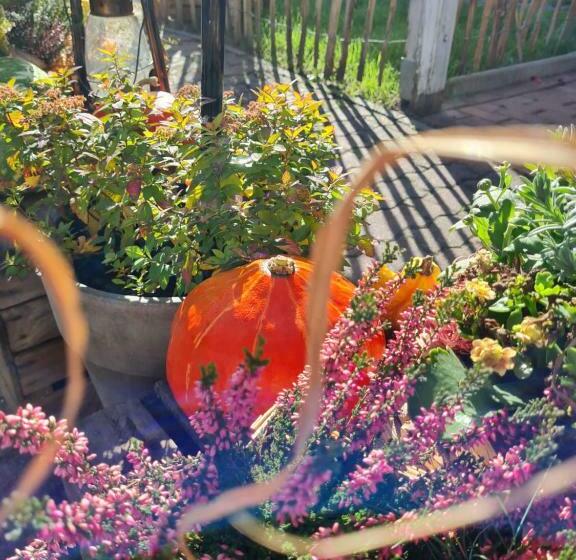 Pension Seeschlösschen