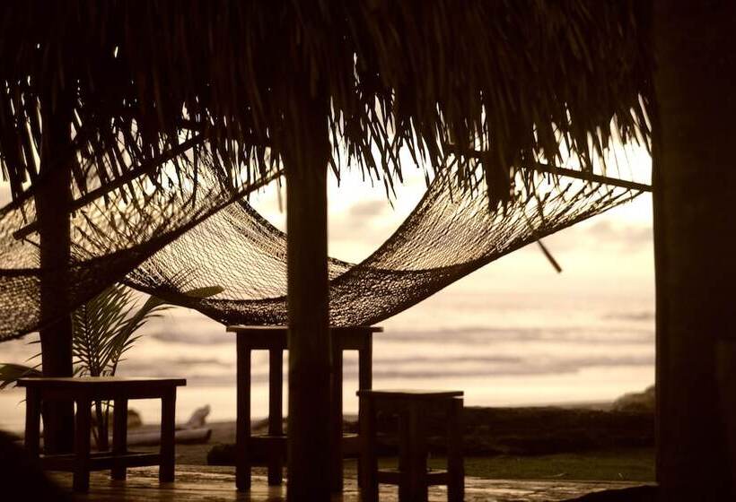 酒店 Clandestino Beach