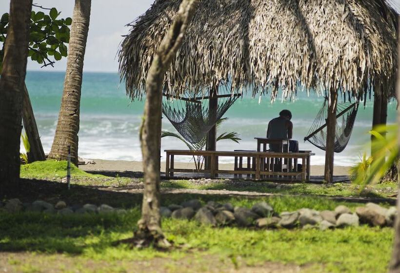 酒店 Clandestino Beach