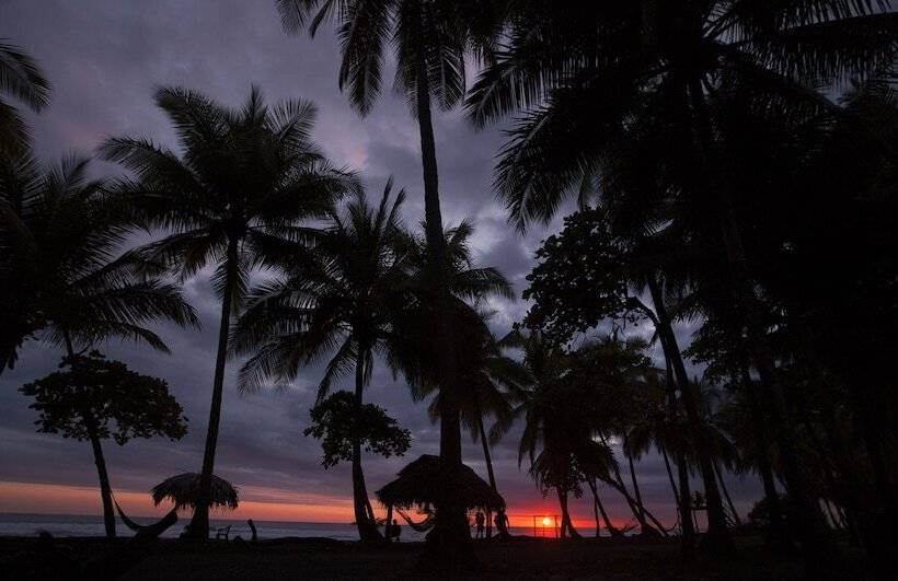 酒店 Clandestino Beach