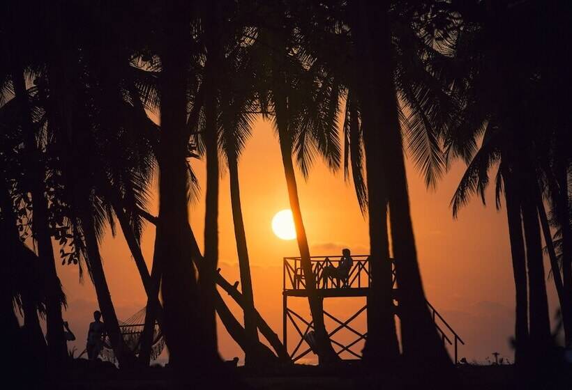 酒店 Clandestino Beach