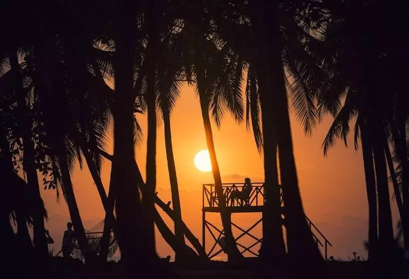 Отель Clandestino Beach