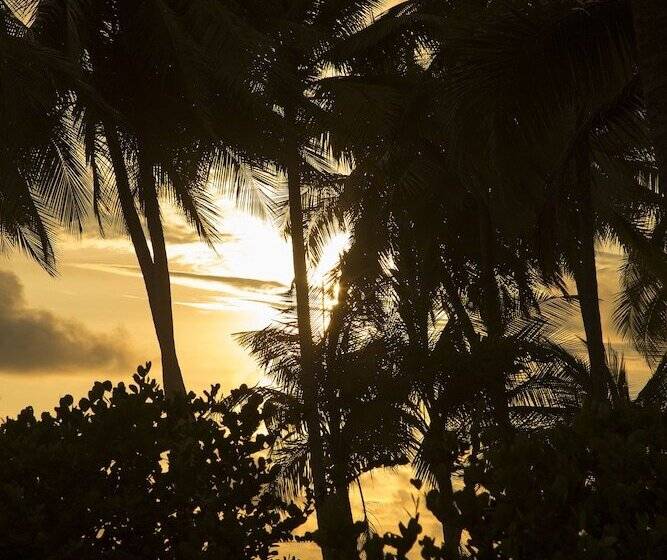 酒店 Clandestino Beach