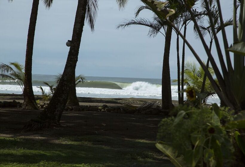 酒店 Clandestino Beach