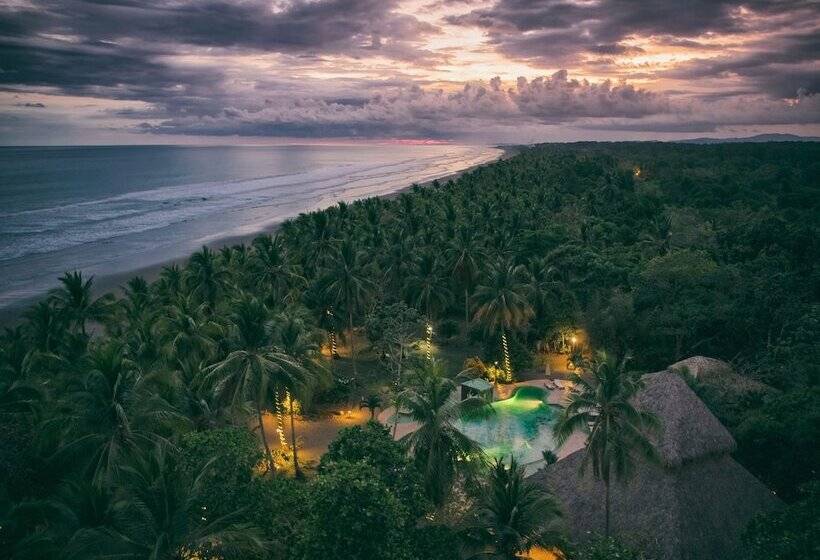 酒店 Clandestino Beach