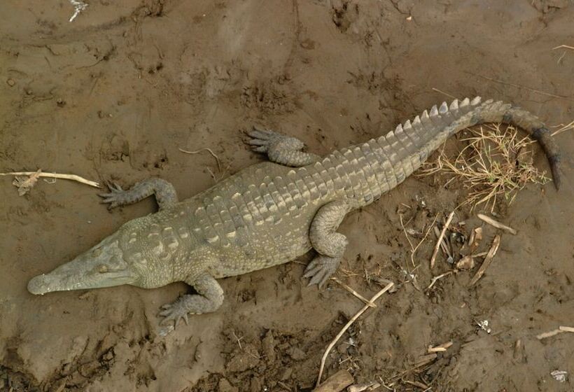 酒店 Clandestino Beach