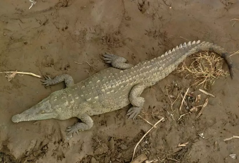 Отель Clandestino Beach