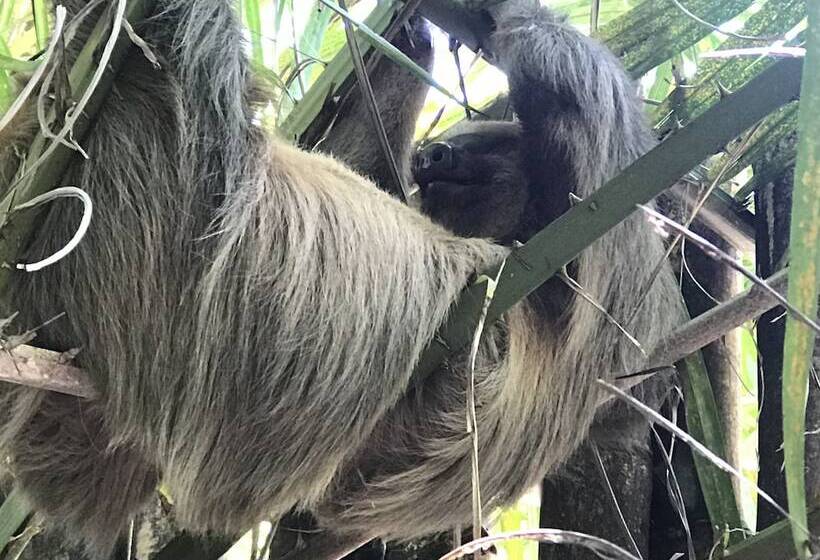 酒店 Clandestino Beach