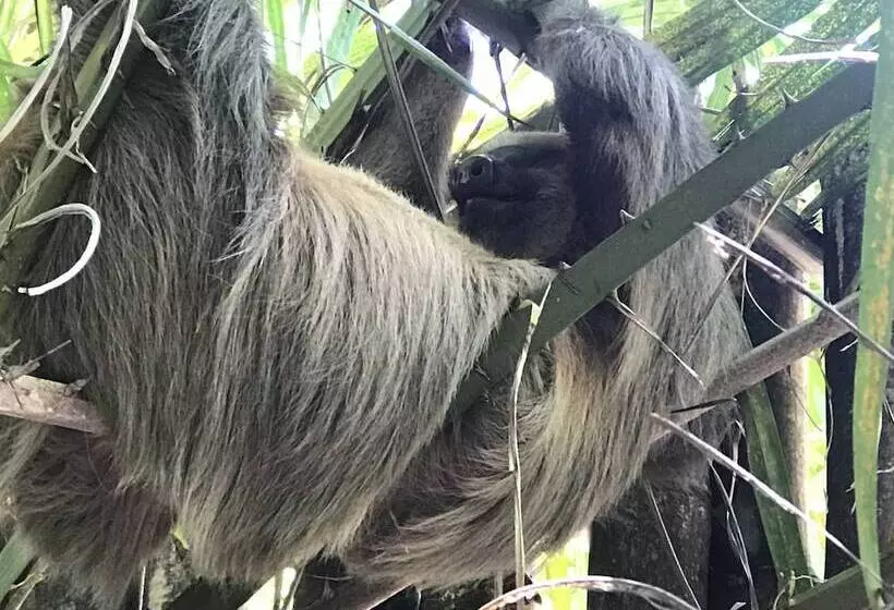 Отель Clandestino Beach