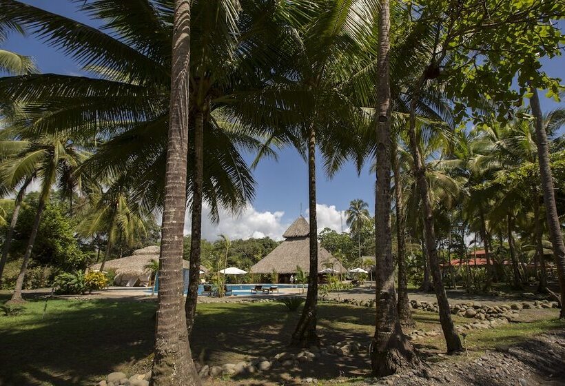 酒店 Clandestino Beach