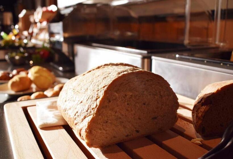 בית מלון כפרי De Borgh