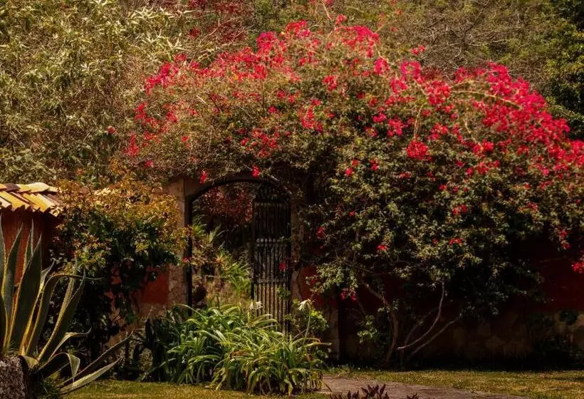 Отель Fundo Achamaqui