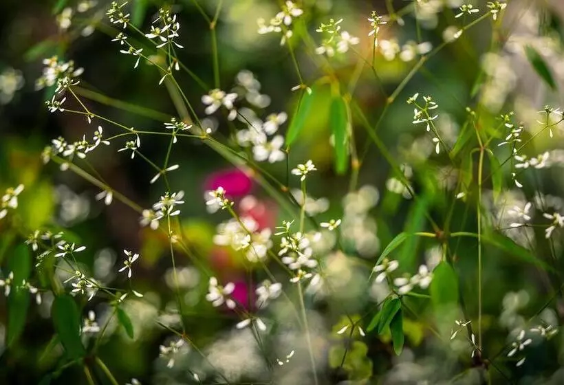 Отель Fundo Achamaqui