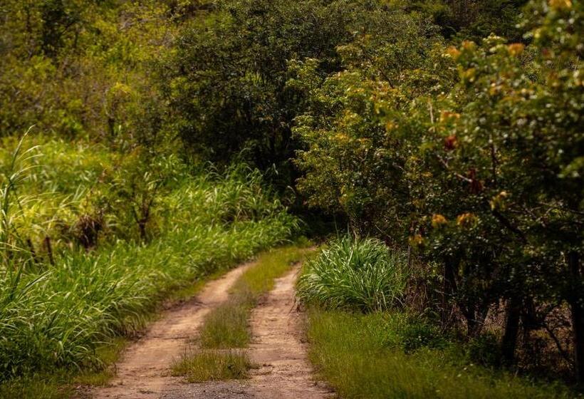 Отель Fundo Achamaqui