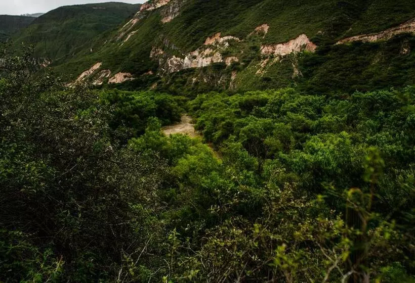 Отель Fundo Achamaqui