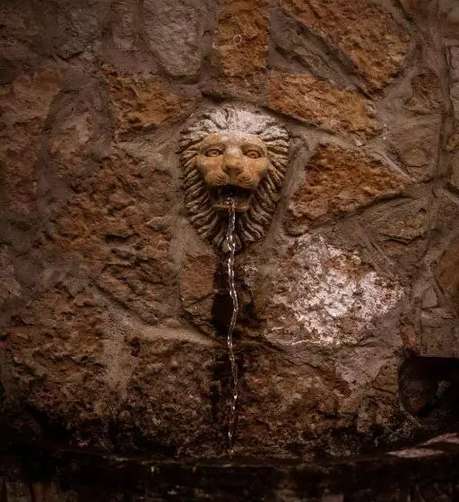 Отель Fundo Achamaqui